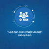 "Labour Relations and Employment" subsystem