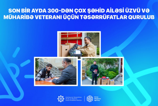 Son bir ayda 300-dən çox şəhid ailəsi üzvü və müharibə veteranı üçün təsərrüfatlar qurulub