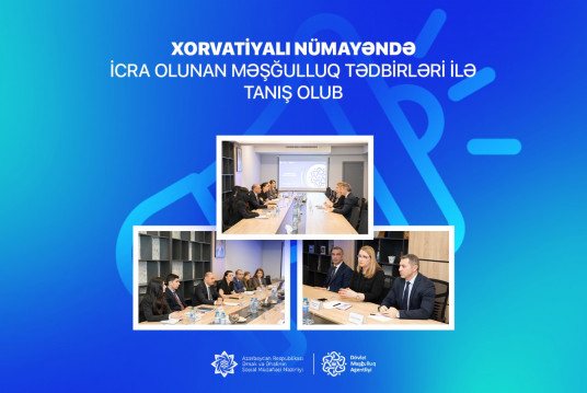 Xorvatiyalı nümayəndə icra olunan məşğulluq tədbirləri ilə tanış olub