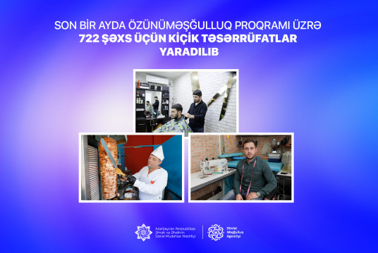 Son bir ayda özünüməşğulluq proqramı üzrə 722 şəxs üçün kiçik təsərrüfatlar yaradılıb