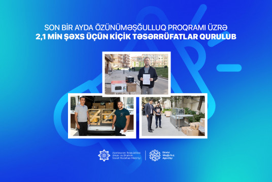 Son bir ayda özünüməşğulluq proqramı üzrə 2,1 min şəxs  üçün kiçik təsərrüfatlar qurulub