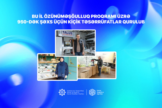 Bu il özünüməşğulluq proqramı üzrə 950-dək şəxs üçün kiçik təsərrüfatlar qurulub