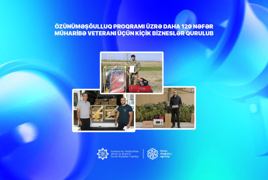 Özünüməşğulluq proqramı üzrə daha 120 nəfər müharibə veteranı üçün kiçik bizneslər qurulub