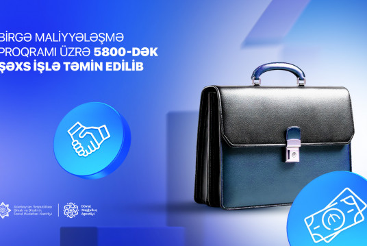 Birgə maliyyələşmə proqramı üzrə 5800-dək şəxs işlə təmin edilib