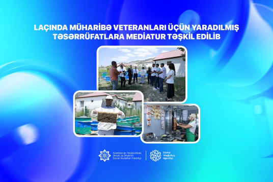 Laçında müharibə veteranları üçün yaradılmış kiçik təsərrüfatlara mediatur təşkil edilib