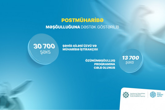 Postmüharibə dövründə şəhid ailəsi üzvü və müharibə iştirakçısı olan 30700 şəxsin məşğulluğuna dəstək göstərilib