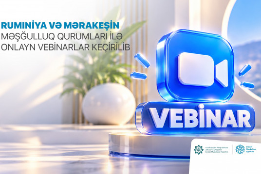 Rumıniya və Mərakeşin məşğulluq qurumları ilə onlayn vebinarlar keçirilib
