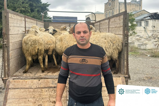 İşğaldan azad edilmiş ərazilərdə daha 105 sakin üçün özünüməşğulluq proqramı üzrə kiçik təsərrüfatlar qurulub