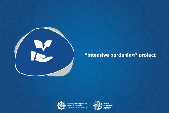 "Intensive gardening" project