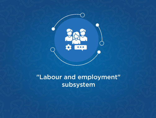 "Labour Relations and Employment" subsystem