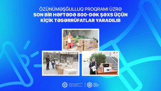 Özünüməşğulluq proqramı üzrə son bir həftədə 800-ə yaxın şəxs üçün kiçik təsərrüfatlar yaradılıb