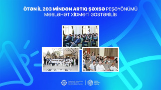 Ötən il 203 mindən artıq şəxsə peşəyönümü məsləhət xidməti göstərilib