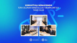 Xorvatiyalı nümayəndə icra olunan məşğulluq tədbirləri ilə tanış olub