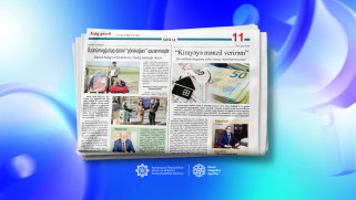 “Özünüməşğulluq proqramı işsizliyin böyük hissəsini faktiki olaraq aradan qaldırır”