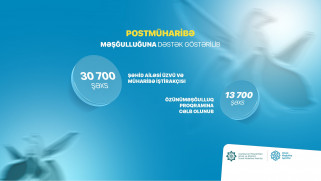 Postmüharibə dövründə şəhid ailəsi üzvü və müharibə iştirakçısı olan 30700 şəxsin məşğulluğuna dəstək göstərilib