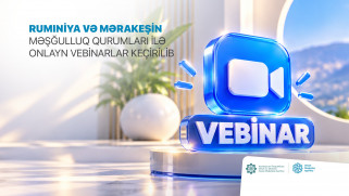 Rumıniya və Mərakeşin məşğulluq qurumları ilə onlayn vebinarlar keçirilib