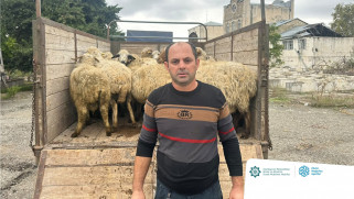 İşğaldan azad edilmiş ərazilərdə daha 105 sakin üçün özünüməşğulluq proqramı üzrə kiçik təsərrüfatlar qurulub
