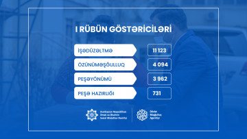 20 minədək şəxs aktiv məşğulluq tədbirləri ilə əhatə olunub