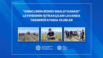 “Gənclərin biznes emalatxanası” layihəsinin iştirakçıları lavanda təsərrüfatında olublar