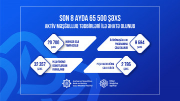8 ayda 65 mindən çox şəxs aktiv məşğulluq tədbirləri ilə əhatə olunub