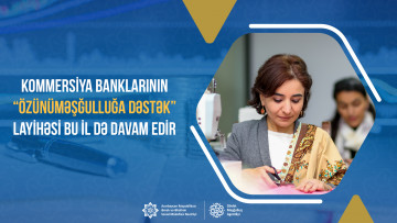 Bu il “Özünüməşğulluğa dəstək” layihəsi çərçivəsində 500 nəfər üçün kiçik biznes yaradılacaq