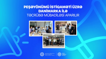 Peşəyönümü istiqaməti üzrə Danimarka ilə təcrübə mübadiləsi aparılır