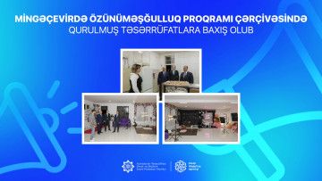 Mingəçevirdə özünüməşğulluq proqramı çərçivəsində qurulmuş təsərrüfatlara baxış olub