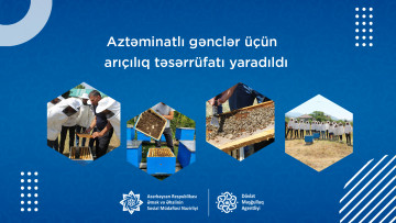 Aztəminatlı gənclər üçün arıçılıq təsərrüfatı yaradıldı