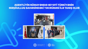 Agentliyin nümayəndə heyəti Türkiyənin məşğulluq sahəsindəki təcrübəsi ilə tanış olub