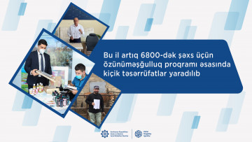 Bu il artıq 6800-dək şəxs üçün özünüməşğulluq proqramı əsasında kiçik təsərrüfatlar yaradılıb