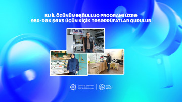 Bu il özünüməşğulluq proqramı üzrə 950-dək şəxs üçün kiçik təsərrüfatlar qurulub