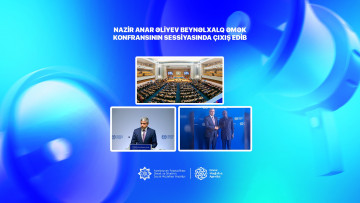 Nazir Anar Əliyev Beynəlxalq Əmək Konfransının sessiyasında çıxış edib